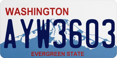 WA license plate AYW3603