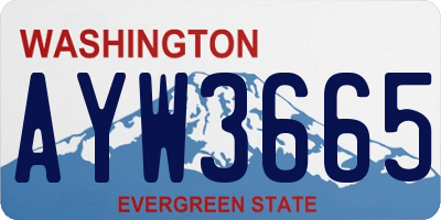 WA license plate AYW3665