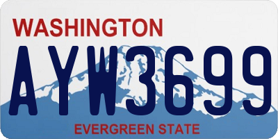 WA license plate AYW3699