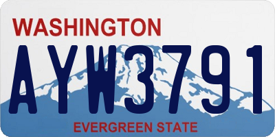 WA license plate AYW3791