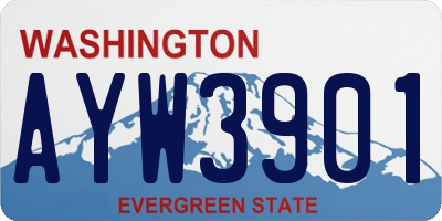 WA license plate AYW3901
