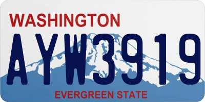 WA license plate AYW3919