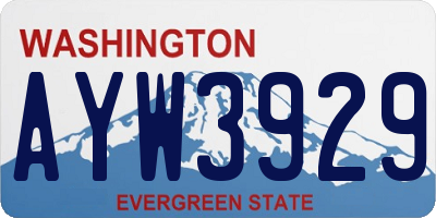 WA license plate AYW3929