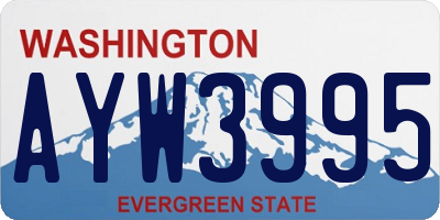 WA license plate AYW3995