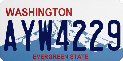 WA license plate AYW4229