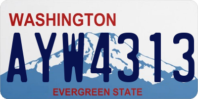 WA license plate AYW4313