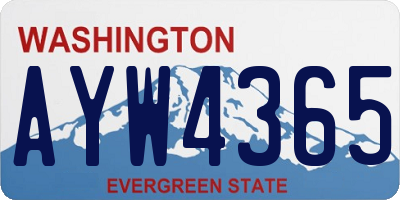 WA license plate AYW4365