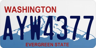 WA license plate AYW4377