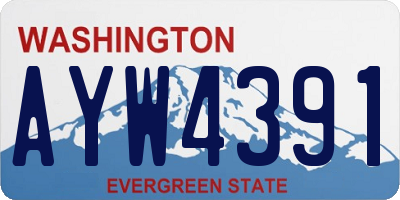 WA license plate AYW4391