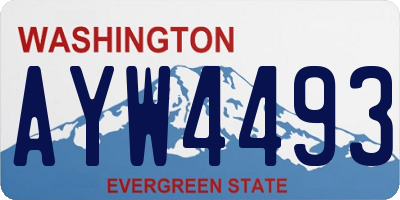 WA license plate AYW4493