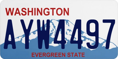 WA license plate AYW4497