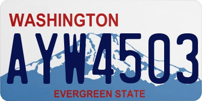 WA license plate AYW4503