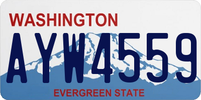 WA license plate AYW4559