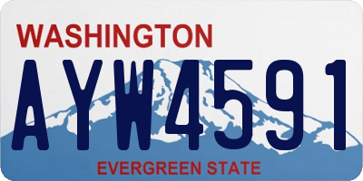 WA license plate AYW4591