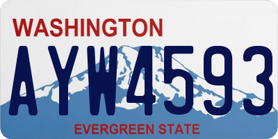 WA license plate AYW4593