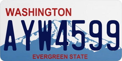 WA license plate AYW4599