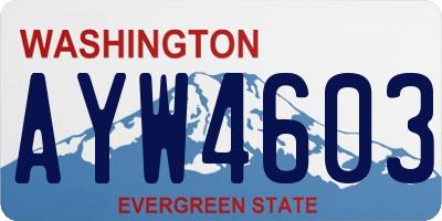 WA license plate AYW4603