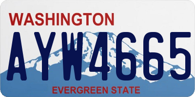 WA license plate AYW4665