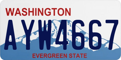 WA license plate AYW4667