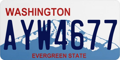 WA license plate AYW4677