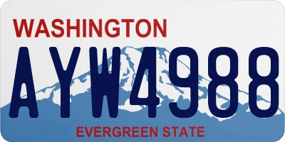 WA license plate AYW4988