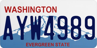 WA license plate AYW4989