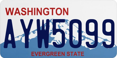 WA license plate AYW5099