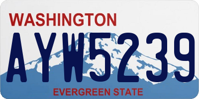 WA license plate AYW5239