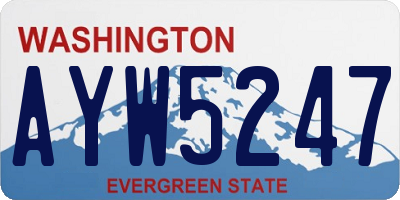 WA license plate AYW5247