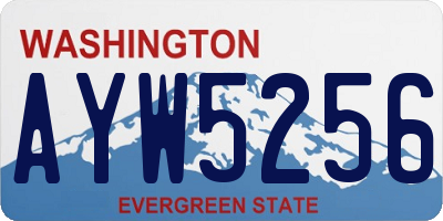 WA license plate AYW5256