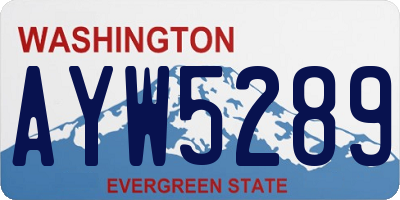 WA license plate AYW5289