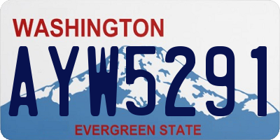 WA license plate AYW5291