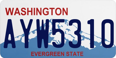 WA license plate AYW5310