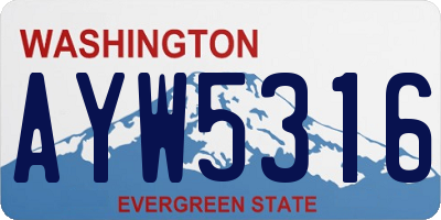 WA license plate AYW5316