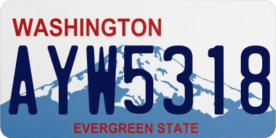 WA license plate AYW5318