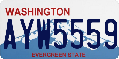 WA license plate AYW5559