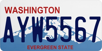 WA license plate AYW5567