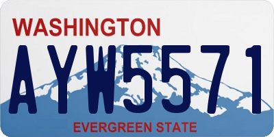 WA license plate AYW5571