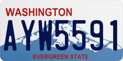 WA license plate AYW5591