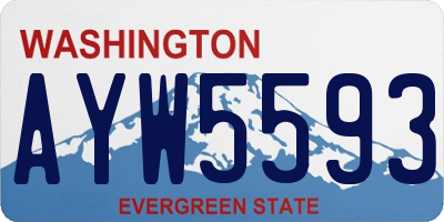 WA license plate AYW5593