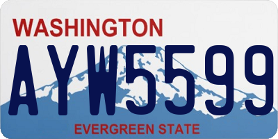 WA license plate AYW5599