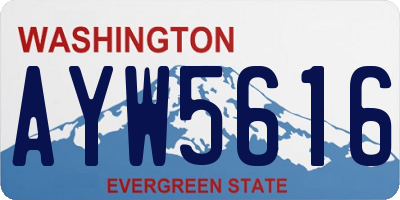 WA license plate AYW5616