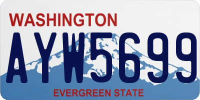 WA license plate AYW5699