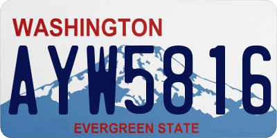 WA license plate AYW5816