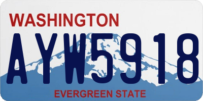 WA license plate AYW5918