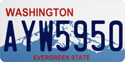 WA license plate AYW5950