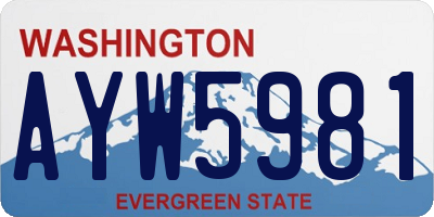 WA license plate AYW5981