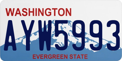 WA license plate AYW5993
