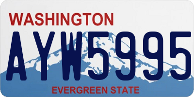 WA license plate AYW5995