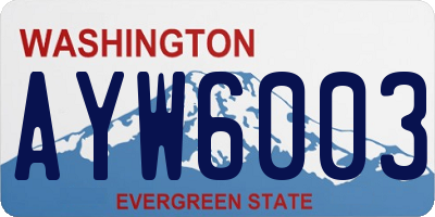 WA license plate AYW6003